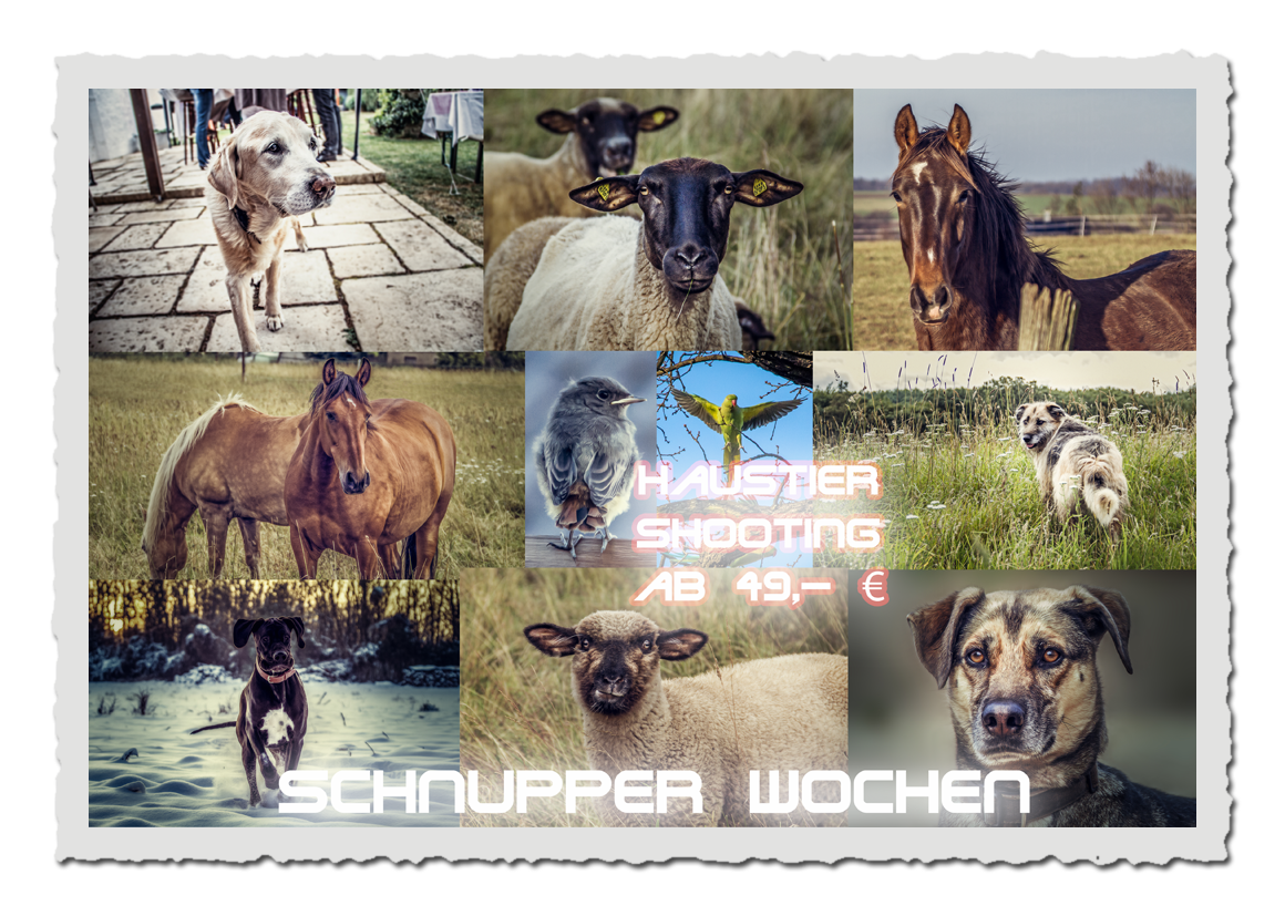 Schnupperwochen Tier